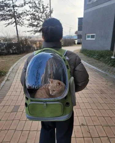 Bubble backpack photographed by a verified buyer