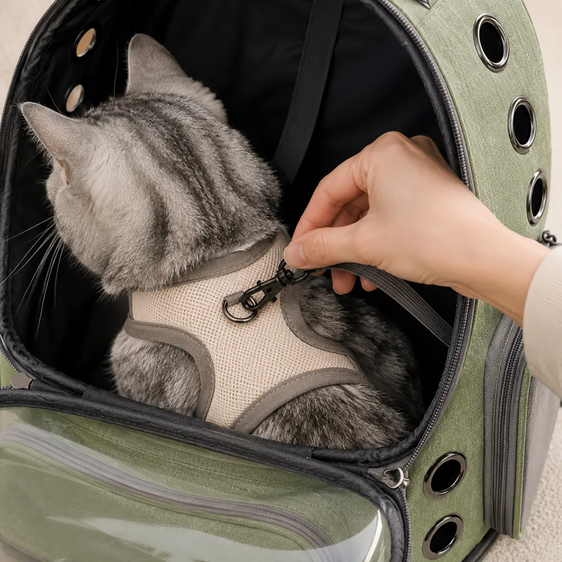 The internal safety hook that clips to a cat harness