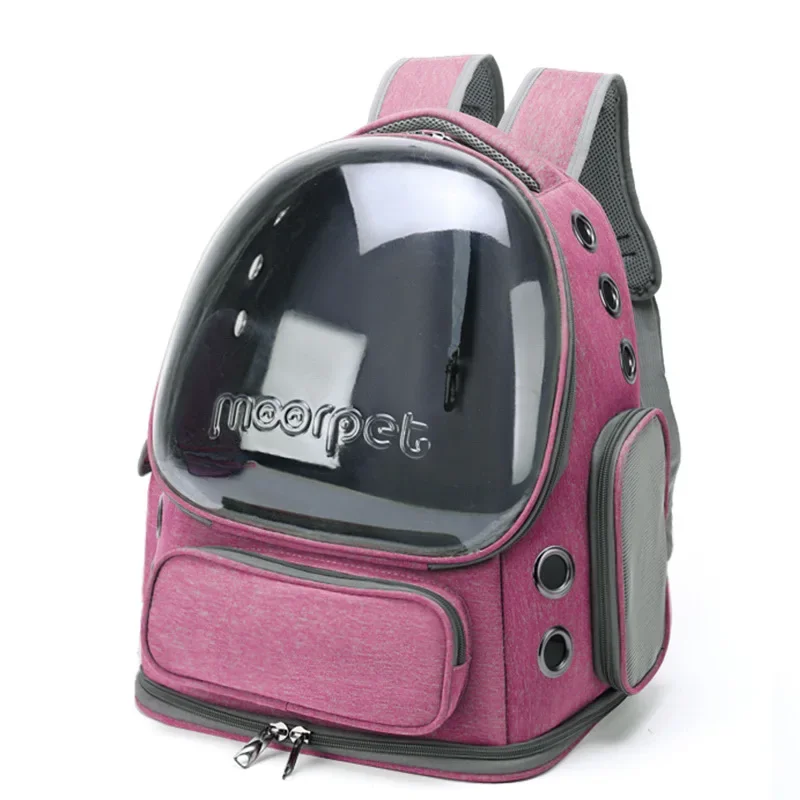 Pink backpack colour